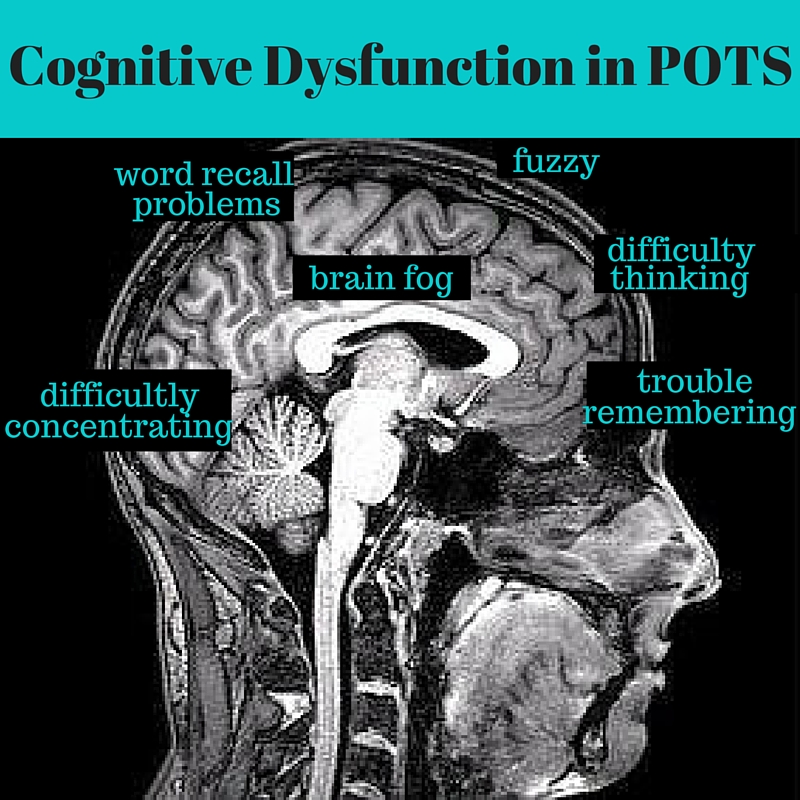 The Dysautonomia Project - Brain fog, or mental clouding, occurs when  there is not an ideal amount of blood flow to the cerebral cortex. This  lower blood flow causes difficulties with concentrating